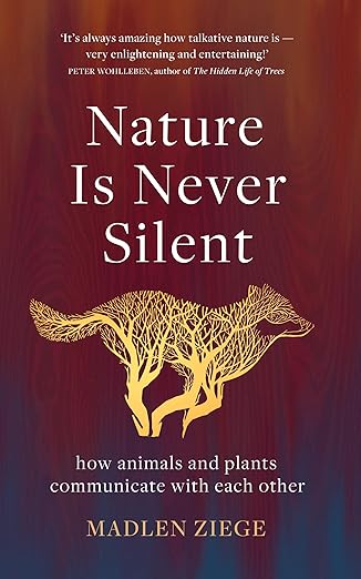 Nature is never silent Maddy Fellmeth