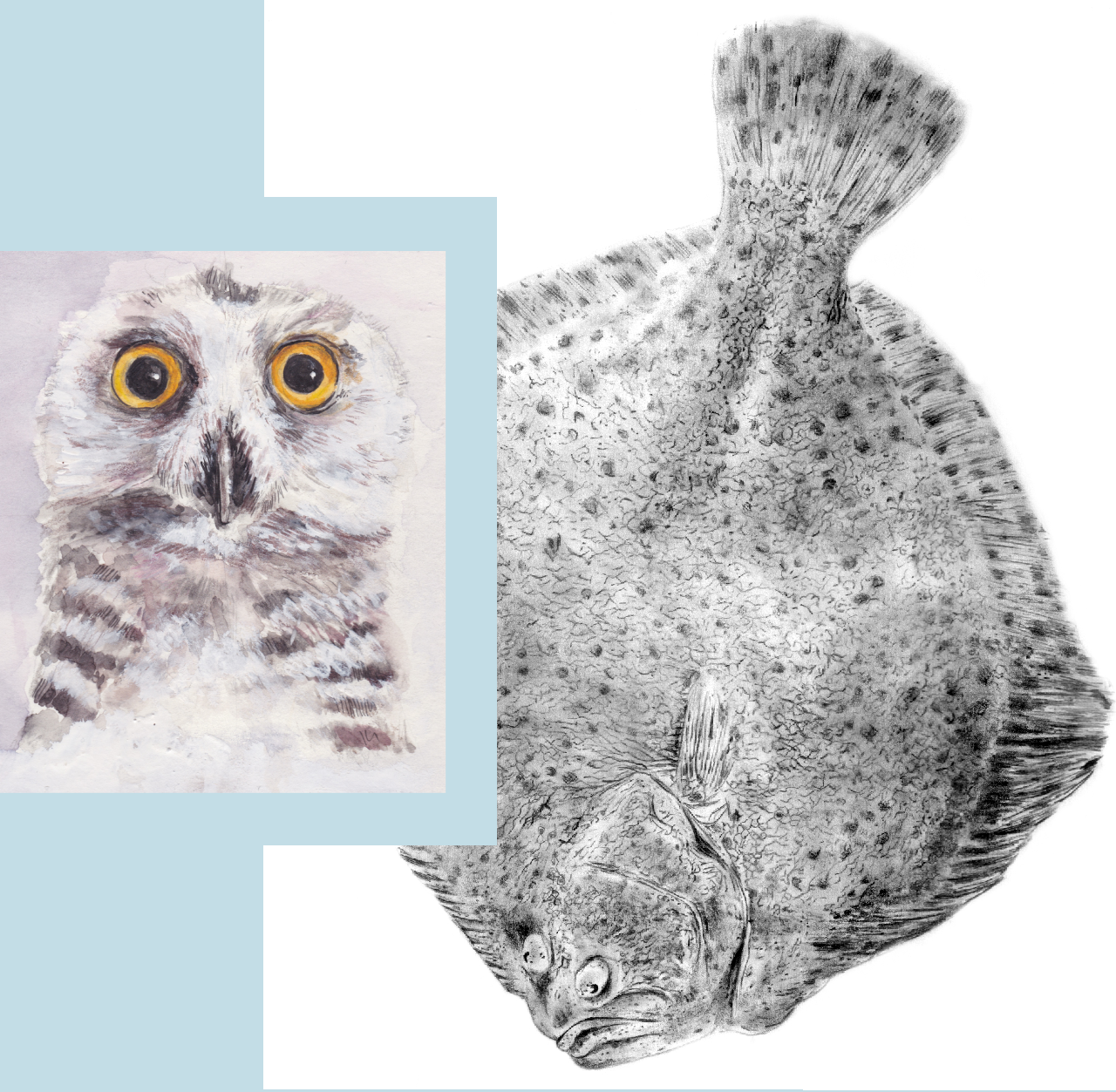 Kunstbild_Startseite Maddy Fellmeth